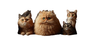 Fluffy Doll With Cats Vinyl Car Decal Sticker – Waterproof & UV-Resistant 8"