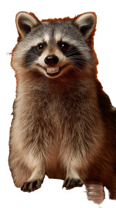 Smiling Raccoon Ad Vinyl Car Decal Sticker – Waterproof & UV-Resistant 8" Smiling Raccoon Ad Vinyl Car Decal Sticker – Waterproof & UV-Resistant 8"