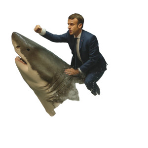 Macron Vs Shark Vinyl Car Decal Sticker – Waterproof & UV-Resistant 8"