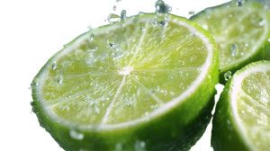 Fresh Lime Slices Vinyl Car Decal Sticker – Waterproof & UV-Resistant 8" Fresh Lime Slices Vinyl Car Decal Sticker – Waterproof & UV-Resistant 8"