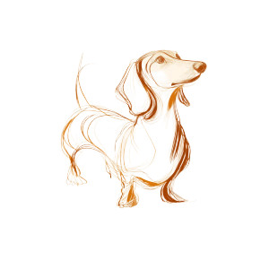 Dachshund Illustration Vinyl Car Decal Sticker – Waterproof & UV-Resistant 8"