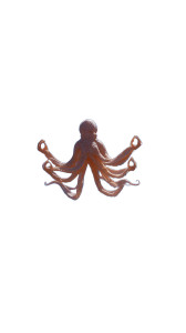 Meditating Octopus Vinyl Car Decal Sticker – Waterproof & UV-Resistant 8"
