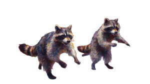 Chaotic Office Raccoons Vinyl Car Decal Sticker – Waterproof & UV-Resistant 8" Chaotic Office Raccoons Vinyl Car Decal Sticker – Waterproof & UV-Resistant 8"