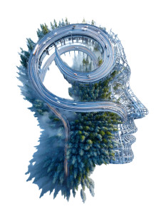 Highway Human Head Vinyl Car Decal Sticker – Waterproof & UV-Resistant 8"