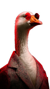 Party Goose Vinyl Car Decal Sticker – Waterproof & UV-Resistant 8"