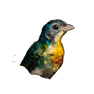 Glass Layer Art Vinyl Car Decal Sticker – Waterproof & UV-Resistant 8"