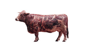 Meat Cow V2 Vinyl Car Decal Sticker – Waterproof & UV-Resistant 8"