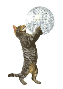 Disco Cat Vinyl Car Decal Sticker – Waterproof & UV-Resistant 8"