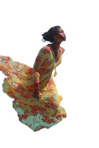 Diving In Reflection Vinyl Car Decal Sticker – Waterproof & UV-Resistant 8"