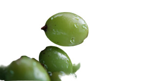 Squeezed Green Grapes Vinyl Car Decal Sticker – Waterproof & UV-Resistant 8" Squeezed Green Grapes Vinyl Car Decal Sticker – Waterproof & UV-Resistant 8"