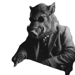 Snowball The Boar Vinyl Car Decal Sticker – Waterproof & UV-Resistant 8"