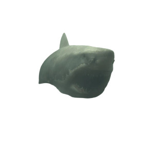 Megladon Breach Vinyl Car Decal Sticker – Waterproof & UV-Resistant 8"