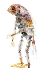 Robot Gyotaku Vinyl Car Decal Sticker – Waterproof & UV-Resistant 8"