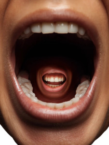 Double Mouth Vinyl Car Decal Sticker – Waterproof & UV-Resistant 8"