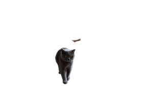 Modern Living Room Scene Vinyl Car Decal Sticker – Waterproof & UV-Resistant 8"