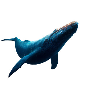 Blue Whale Underwater Vinyl Car Decal Sticker – Waterproof & UV-Resistant 8"