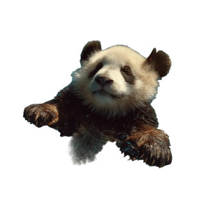 Floating Panda Vinyl Car Decal Sticker – Waterproof & UV-Resistant 8" Floating Panda Vinyl Car Decal Sticker – Waterproof & UV-Resistant 8"