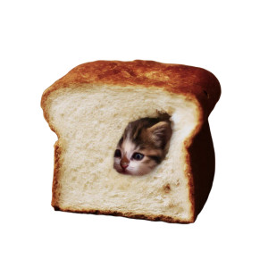 Cat In Bread Vinyl Car Decal Sticker – Waterproof & UV-Resistant 8"