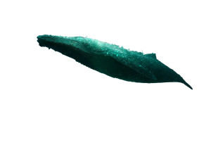 Emerald Glass Whale Vinyl Car Decal Sticker – Waterproof & UV-Resistant 8" Emerald Glass Whale Vinyl Car Decal Sticker – Waterproof & UV-Resistant 8"