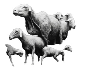 Surreal Sheep Abomination Vinyl Car Decal Sticker – Waterproof & UV-Resistant 8" Surreal Sheep Abomination Vinyl Car Decal Sticker – Waterproof & UV-Resistant 8"