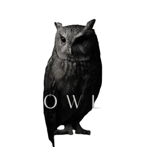 Owl Logo Vinyl Car Decal Sticker – Waterproof & UV-Resistant 8"