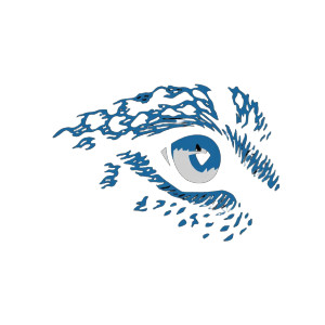 Blue Leopard Eye Vinyl Car Decal Sticker – Waterproof & UV-Resistant 8"