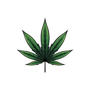 Cannabis Leaf Vector Vinyl Car Decal Sticker – Waterproof & UV-Resistant 8"