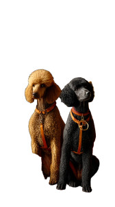 Elegant Poodles Luxury Vinyl Car Decal Sticker – Waterproof & UV-Resistant 8"