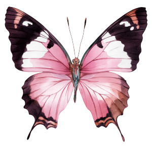 Beautiful Butterfly Vinyl Car Decal Sticker – Waterproof & UV-Resistant 8" Beautiful Butterfly Vinyl Car Decal Sticker – Waterproof & UV-Resistant 8"