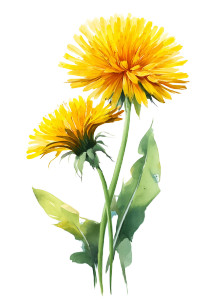 Yellow Dandelions Painting Vinyl Car Decal Sticker – Waterproof & UV-Resistant 8" Yellow Dandelions Painting Vinyl Car Decal Sticker – Waterproof & UV-Resistant 8"