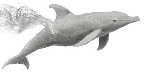 Dolphin Illustration Vinyl Car Decal Sticker – Waterproof & UV-Resistant 8"