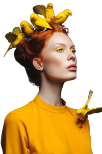Yellow Canary Portrait Vinyl Car Decal Sticker – Waterproof & UV-Resistant 8"