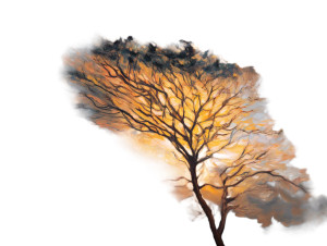 Sunset Tree Painting Vinyl Car Decal Sticker – Waterproof & UV-Resistant 8" Sunset Tree Painting Vinyl Car Decal Sticker – Waterproof & UV-Resistant 8"