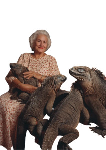 Grandma With Iguanas Vinyl Car Decal Sticker – Waterproof & UV-Resistant 8"