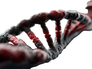 Dna Strand Vinyl Car Decal Sticker – Waterproof & UV-Resistant 8"