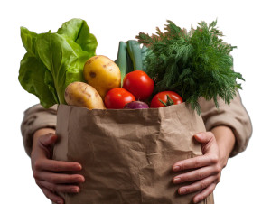 Lady With Groceries Vinyl Car Decal Sticker – Waterproof & UV-Resistant 8"