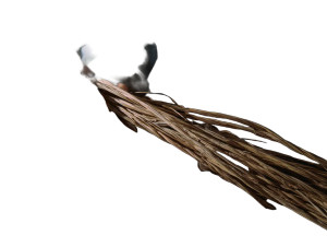 Whip Maker'S Cane Vinyl Car Decal Sticker – Waterproof & UV-Resistant 8"