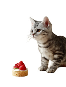 Playful Kitten & Cake Vinyl Car Decal Sticker – Waterproof & UV-Resistant 8"