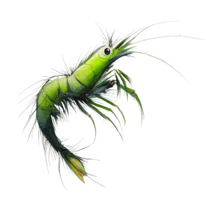Enormous Hairy Shrimp Vinyl Car Decal Sticker – Waterproof & UV-Resistant 8"