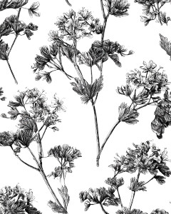 Botanical Illustrations Vinyl Car Decal Sticker – Waterproof & UV-Resistant 8" Botanical Illustrations Vinyl Car Decal Sticker – Waterproof & UV-Resistant 8"