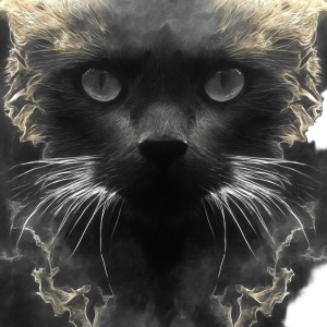 Cat Profile V2 Vinyl Car Decal Sticker – Waterproof & UV-Resistant 8"
