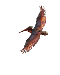 Steampunk Pelican Flight Vinyl Car Decal Sticker – Waterproof & UV-Resistant 8"