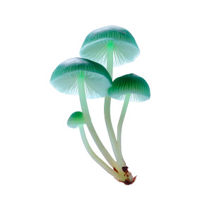 Bioluminescent Mushroom Vinyl Car Decal Sticker – Waterproof & UV-Resistant 8"