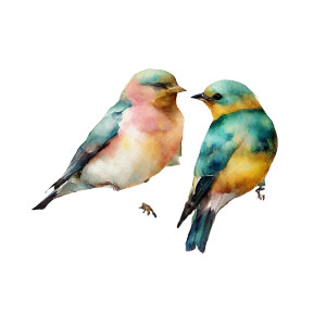 Colorful Watercolor Birds Vinyl Car Decal Sticker – Waterproof & UV-Resistant 8"