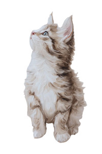 Gray Tabby Kitten Vinyl Car Decal Sticker – Waterproof & UV-Resistant 8"