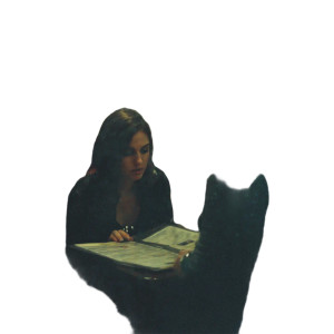 Wizard Café Encounter Vinyl Car Decal Sticker – Waterproof & UV-Resistant 8"