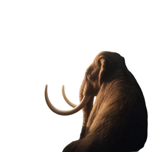 Mammoth In Business Vinyl Car Decal Sticker – Waterproof & UV-Resistant 8" Mammoth In Business Vinyl Car Decal Sticker – Waterproof & UV-Resistant 8"