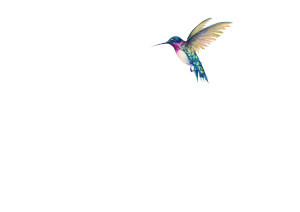 Wildflowers And Hummingbird Vinyl Car Decal Sticker – Waterproof & UV-Resistant 8" Wildflowers And Hummingbird Vinyl Car Decal Sticker – Waterproof & UV-Resistant 8"