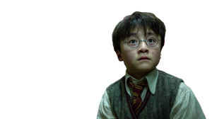 Chinese Harry Potter Vinyl Car Decal Sticker – Waterproof & UV-Resistant 8"