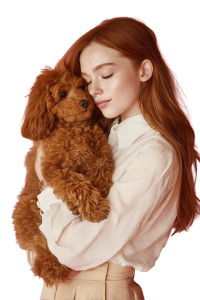 Ginger Woman With Poodle Vinyl Car Decal Sticker – Waterproof & UV-Resistant 8" Ginger Woman With Poodle Vinyl Car Decal Sticker – Waterproof & UV-Resistant 8"